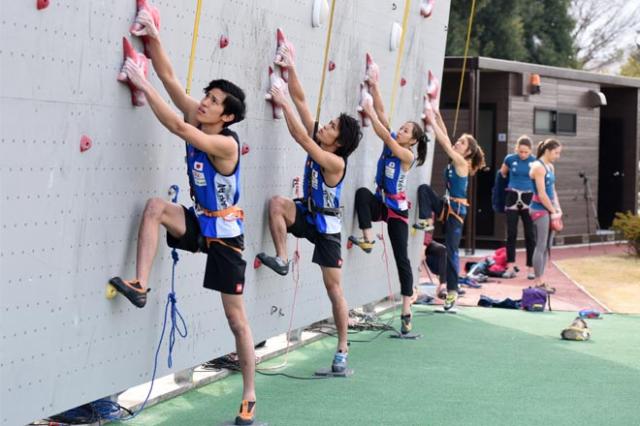 【スピード編】スポーツクライミング日本代表強化合宿レポート! / クライミングネット