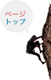 ページトップ