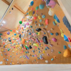 2069bda9b2b82eb1a44d8e95991706