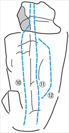 4-153-1-HOURUI-IWA
