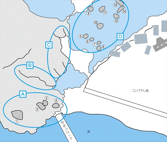 1-048-1-TOKOTAN