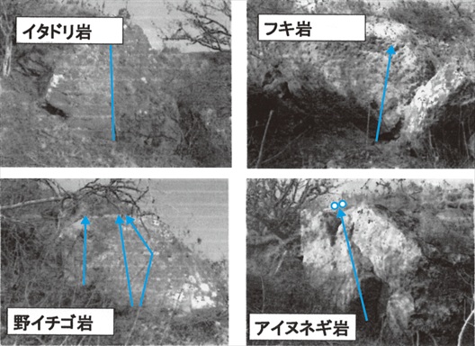1-057-1-TOKOTAN