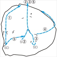 4-098-5-FUKUBE