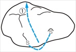 4-100-6-FUKUBE