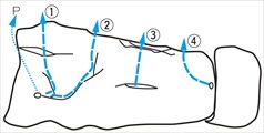 4-101-3-FUKUBE