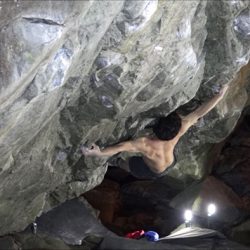 20170406_news_nayuta-250x250.jpg