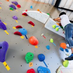 mio camino AMAKUSA ボルダリング [上天草市] | 山と溪谷社の