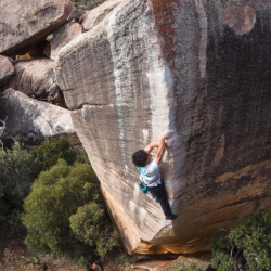 024d3d98e1e89726a7a4037d5bd73c