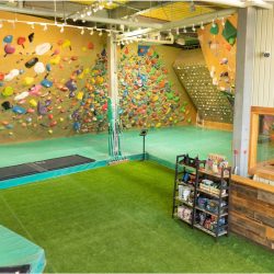 a4f14ba6fa04e31e0851c85e9988ef